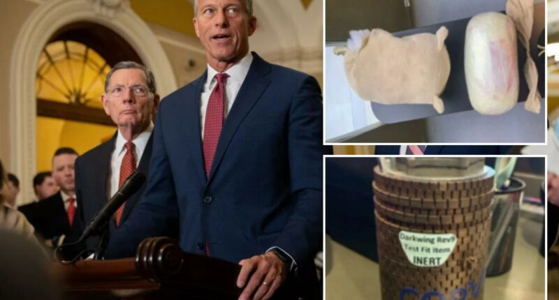 TSA has seized drugs, guns â despite Dem-fueled funding freeze that's kept workers on furlough